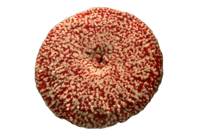 Bicolor White/Red Wool Pad Ø 7,5 in